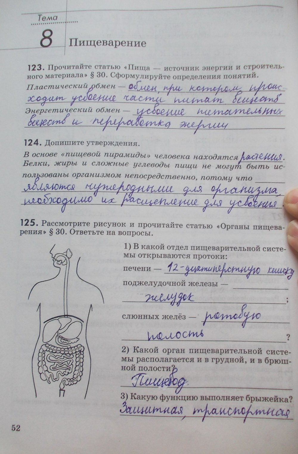 Рабочая тетрадь по биологии 8 ответы