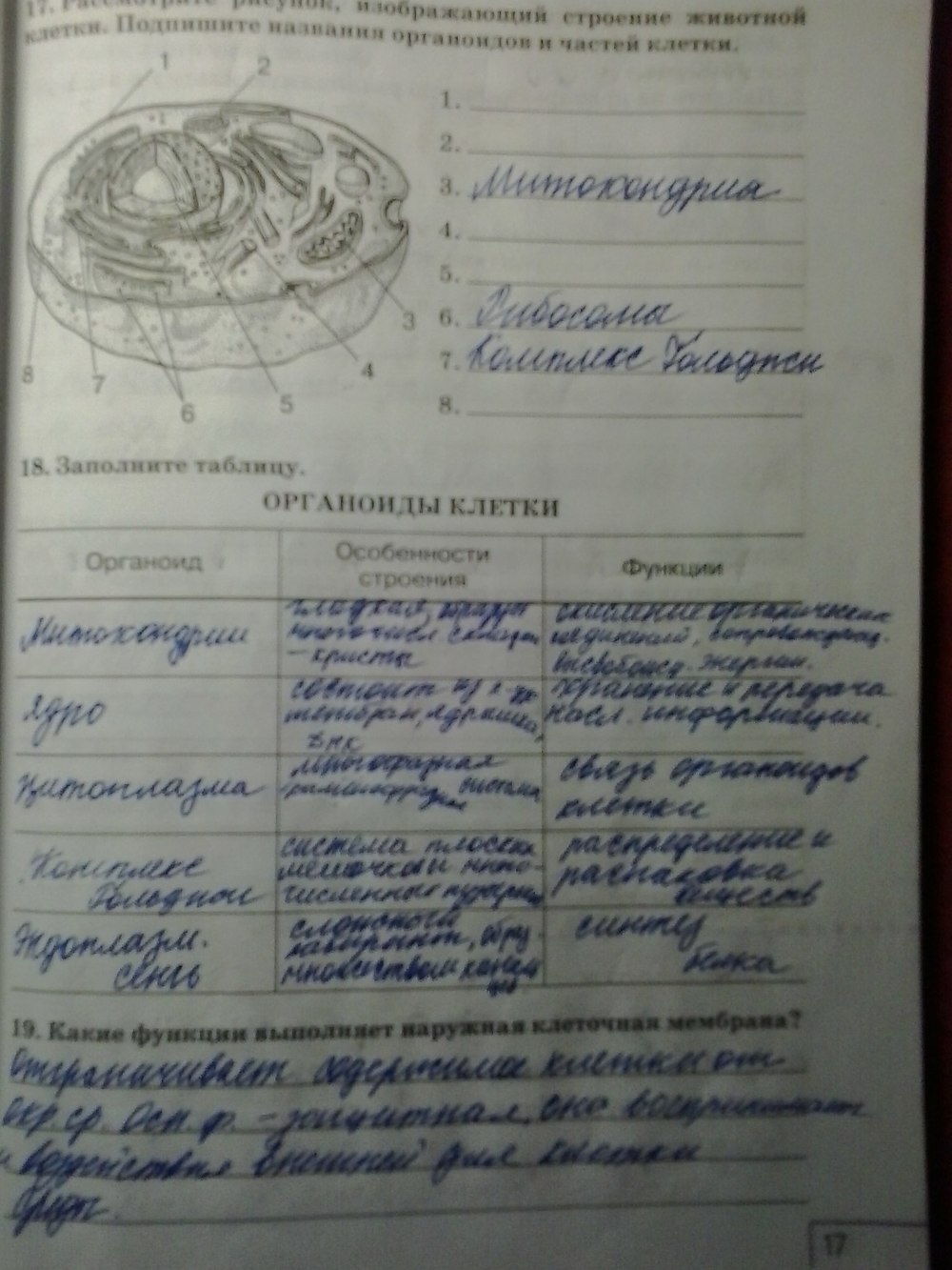 Рабочая тетрадь, 8 класс, Сонин Н. И., Агафонова И. Б., 2014, задание: стр.17