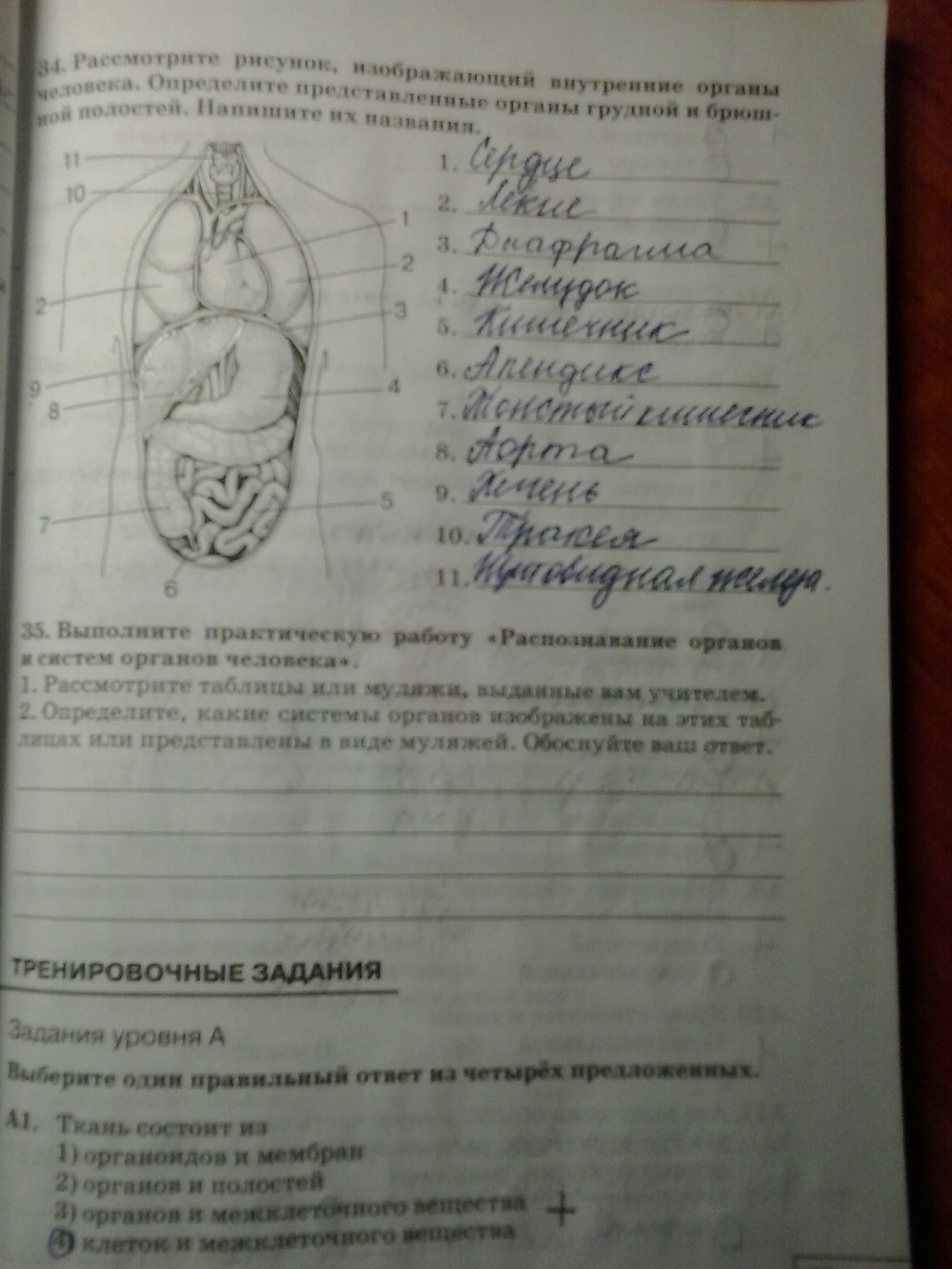 Рабочая тетрадь, 8 класс, Сонин Н. И., Агафонова И. Б., 2014, задание: стр.25