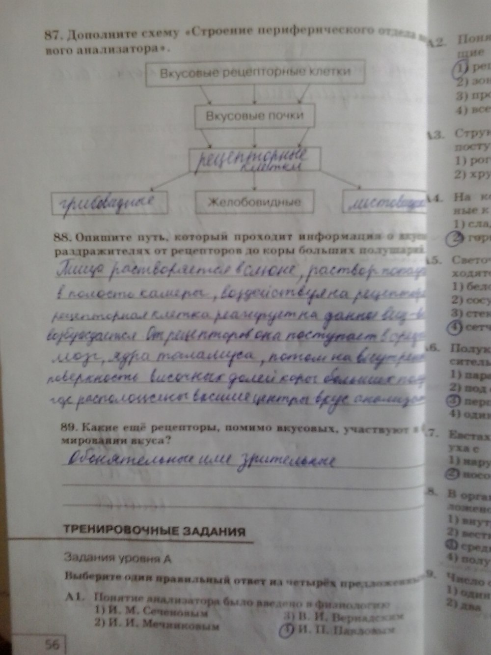 Рабочая тетрадь, 8 класс, Сонин Н. И., Агафонова И. Б., 2014, задание: стр.56