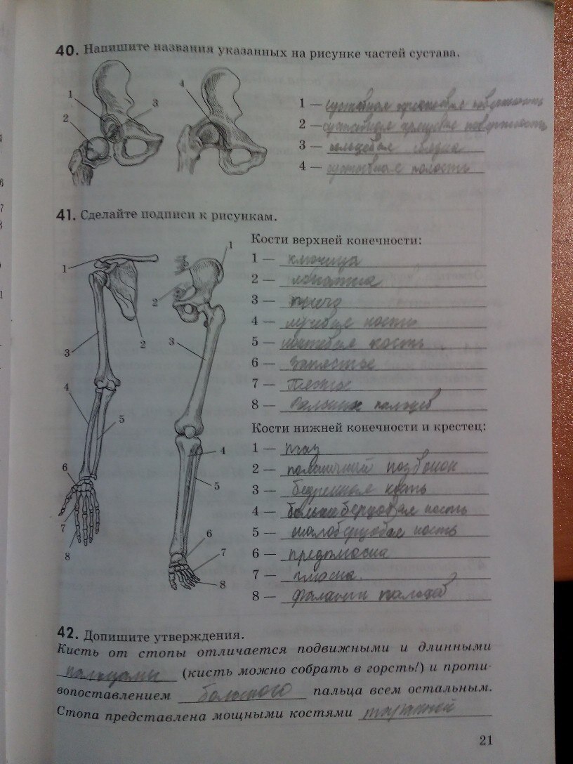 Рабочая тетрадь, 8 класс, Колесов Д.В., Маш Р.Д., Беляев И.Н., 2014, задание: стр. 21