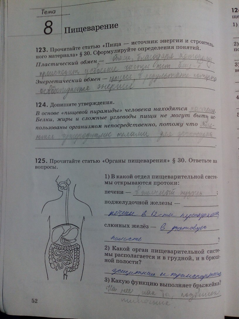 Тесты по биологии 8 класс тетрадь.