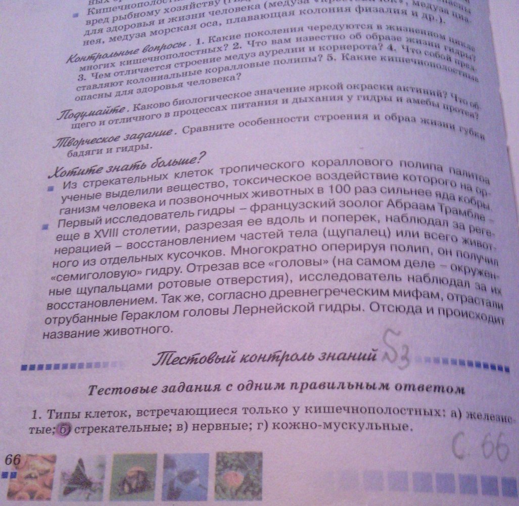 Рабочая тетрадь - Тесты, 8 класс, Серебряков В.В., Балан П.Г., 2011, задание: стр.66