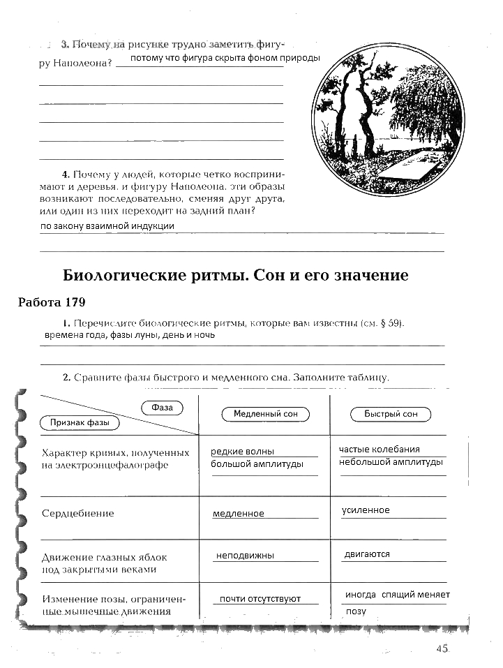 Рабочая тетрадь, 8 класс, Драгомилов, Маш, 2007 - 2016, Часть 2 Задание: 45