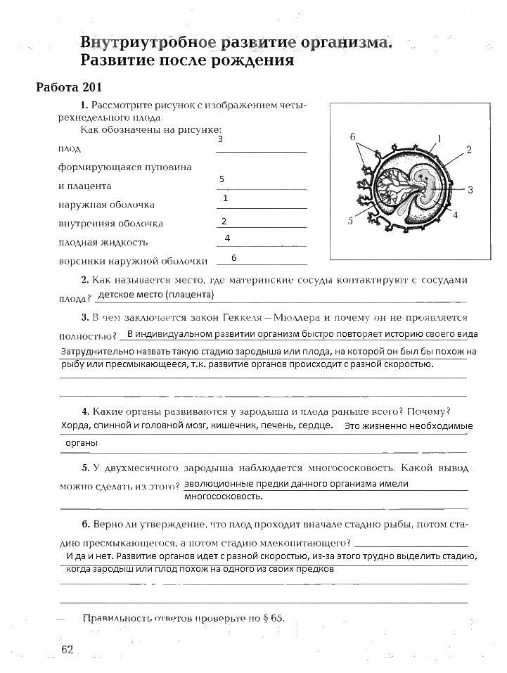 Рабочая тетрадь, 8 класс, Драгомилов, Маш, 2007 - 2016, Часть 2 Задание: 62