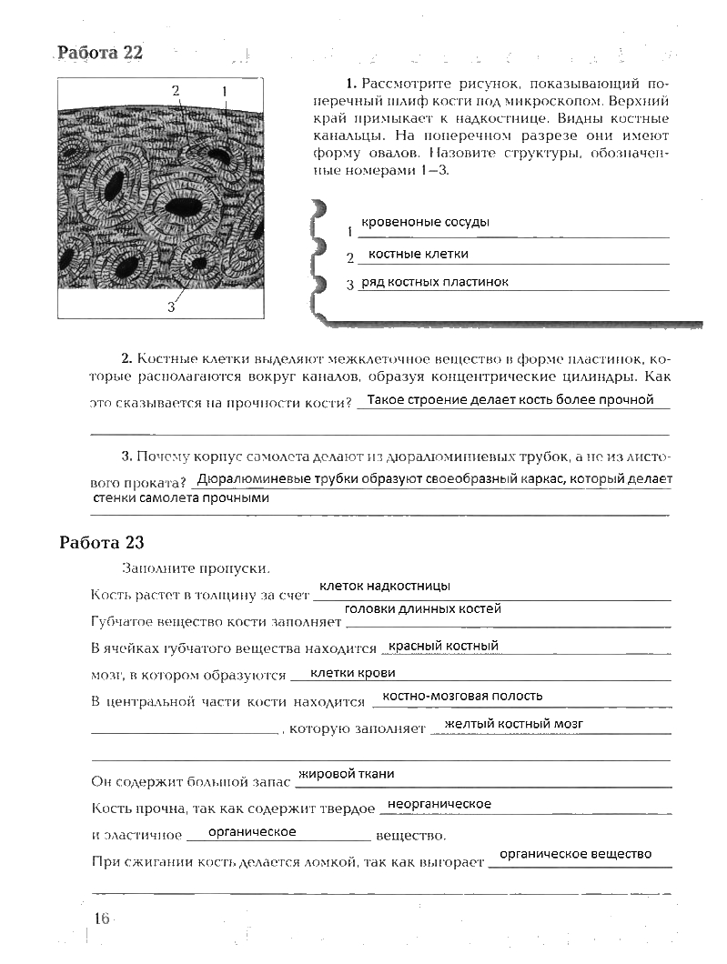 Рабочая тетрадь, 8 класс, Драгомилов, Маш, 2007 - 2016, Часть 1 Задание: 16