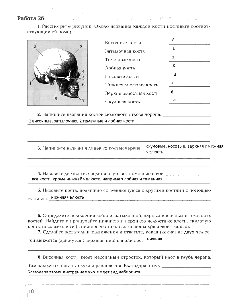 Рабочая тетрадь, 8 класс, Драгомилов, Маш, 2007 - 2016, Часть 1 Задание: 18