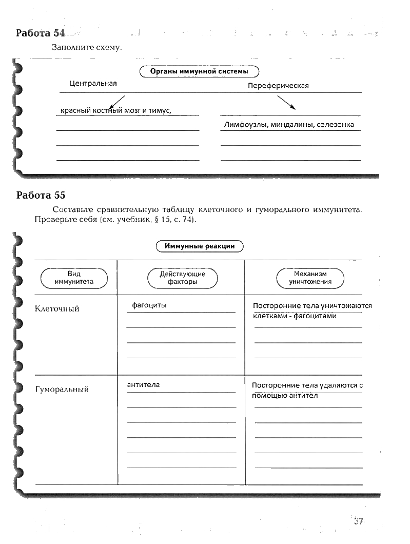 Рабочая тетрадь, 8 класс, Драгомилов, Маш, 2007 - 2016, Часть 1 Задание: 37