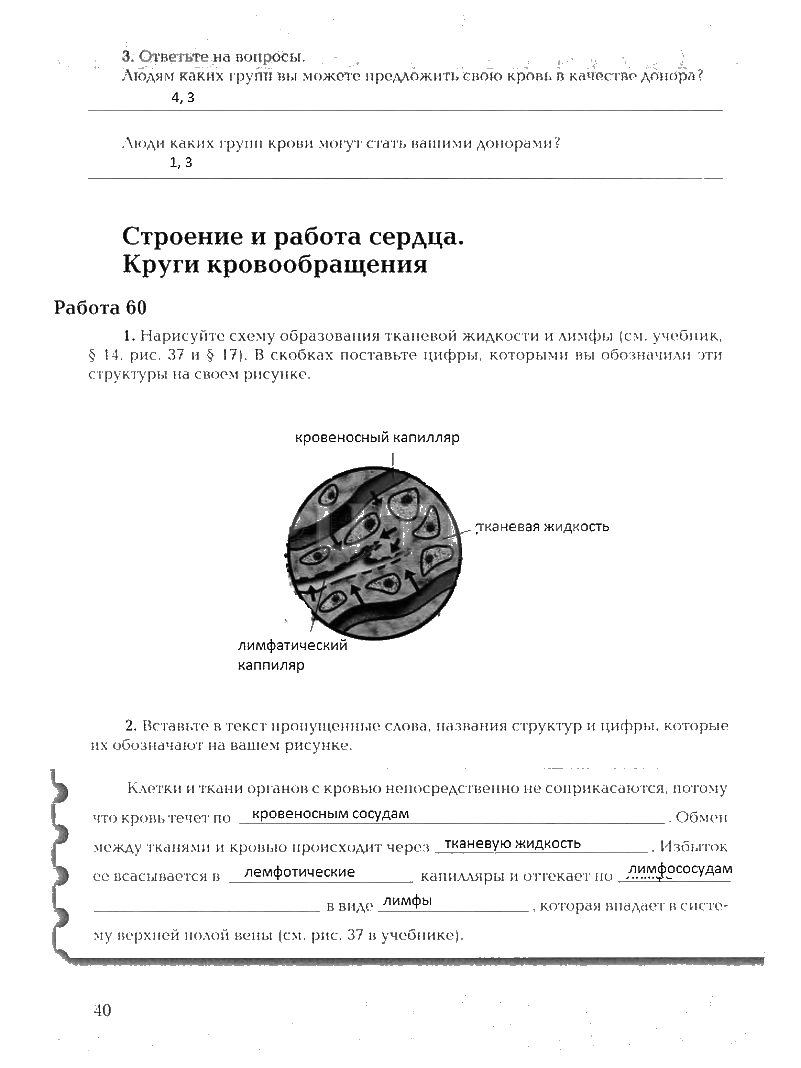 Рабочая тетрадь, 8 класс, Драгомилов, Маш, 2007 - 2016, Часть 1 Задание: 40