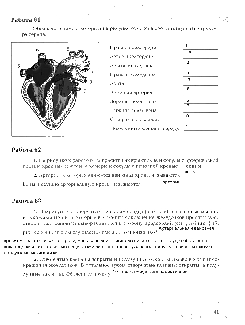 Рабочая тетрадь, 8 класс, Драгомилов, Маш, 2007 - 2016, Часть 1 Задание: 41