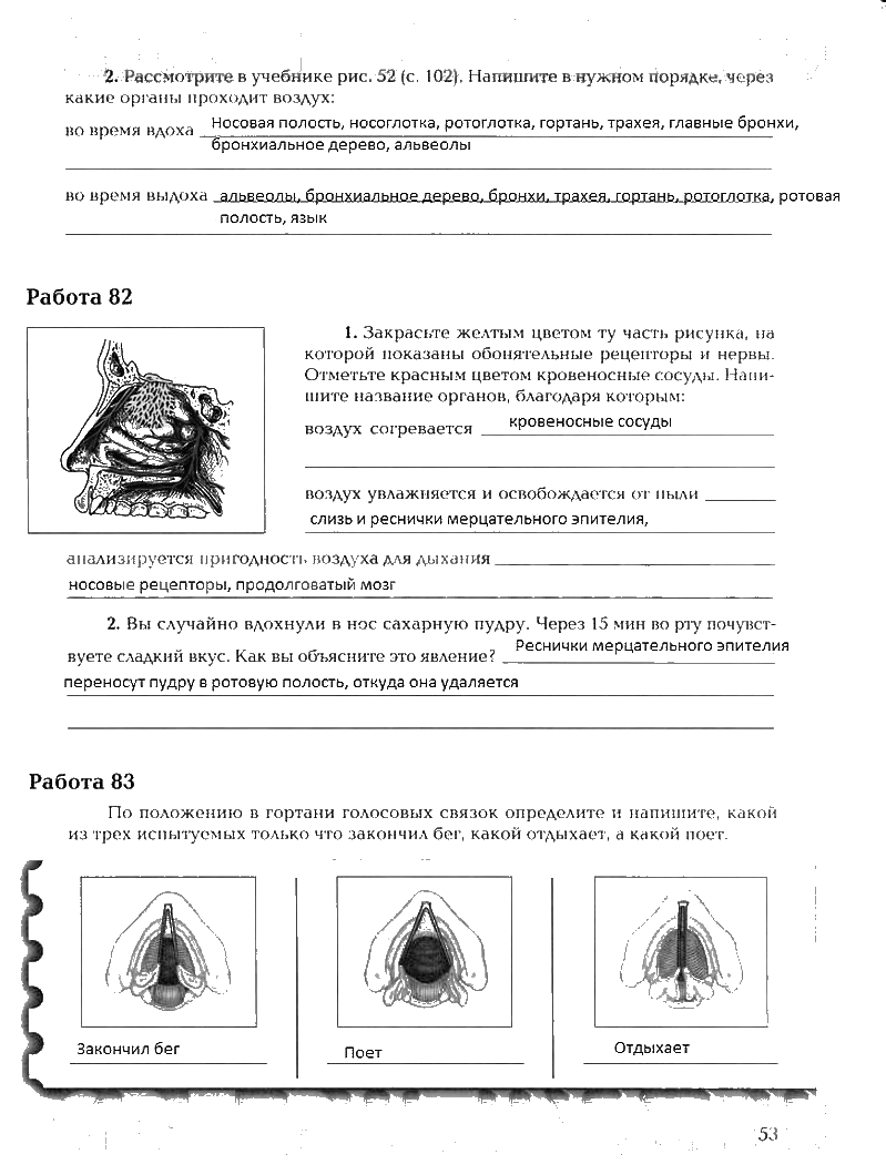 Рабочая тетрадь, 8 класс, Драгомилов, Маш, 2007 - 2016, Часть 1 Задание: 53