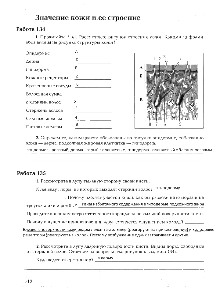 Рабочая тетрадь, 8 класс, Драгомилов, Маш, 2007 - 2016, Часть 2 Задание: 12
