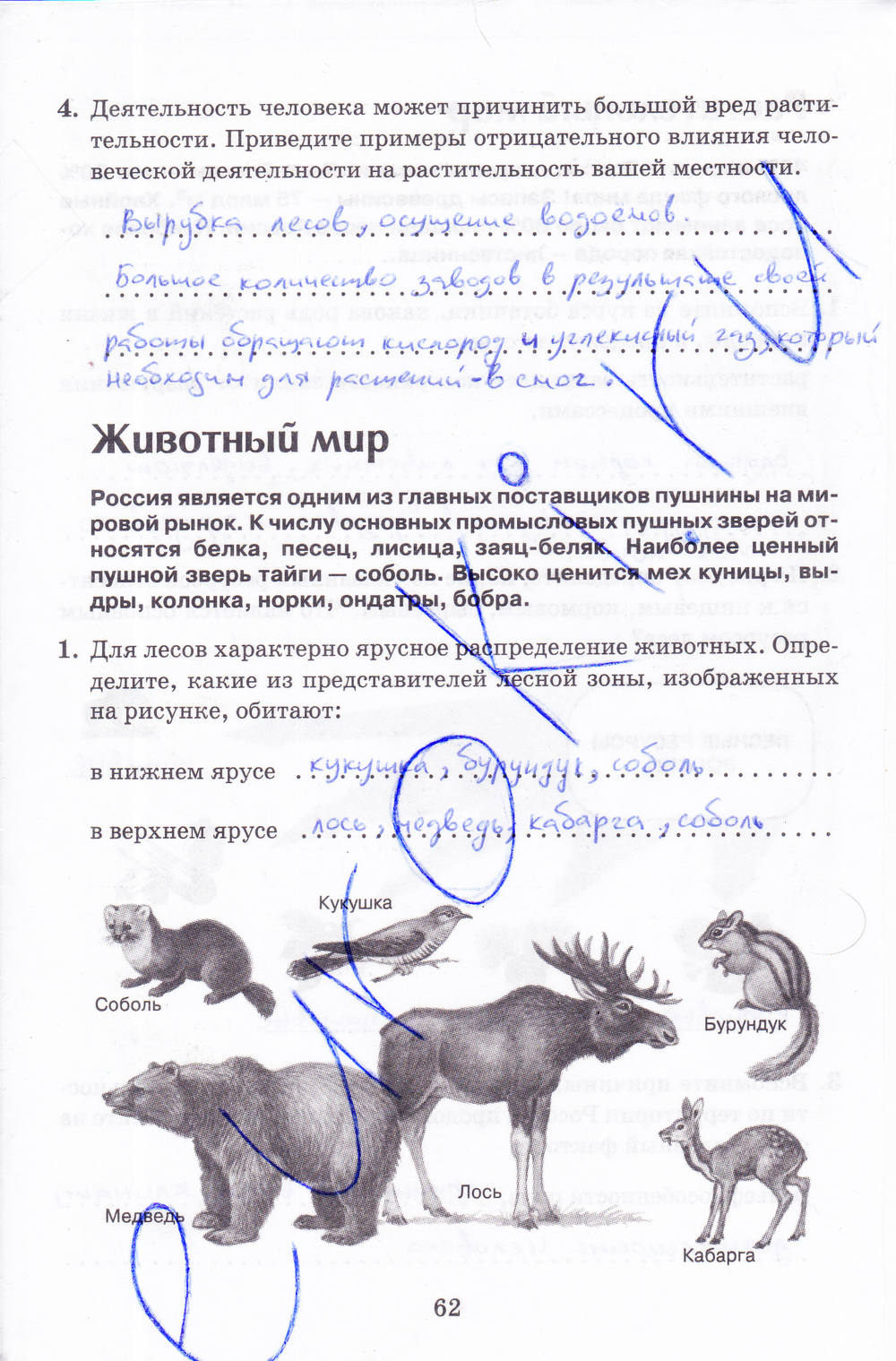 Рабочая тетрадь, 8 класс, Баринова, Дронов, 2005, задание: стр. 62