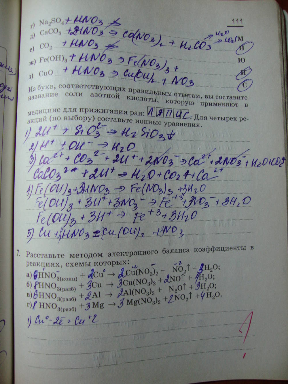 Рабочая тетрадь, 9 класс, Габриелян О.С. Яшукова А.В., 2009, задание: стр. 111