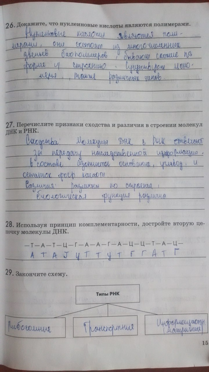 Рабочая тетрадь. Введение в общую биологию, 9 класс, Пасечник В.В., Швецов Г.Г., 2011, задание: Стр. 15