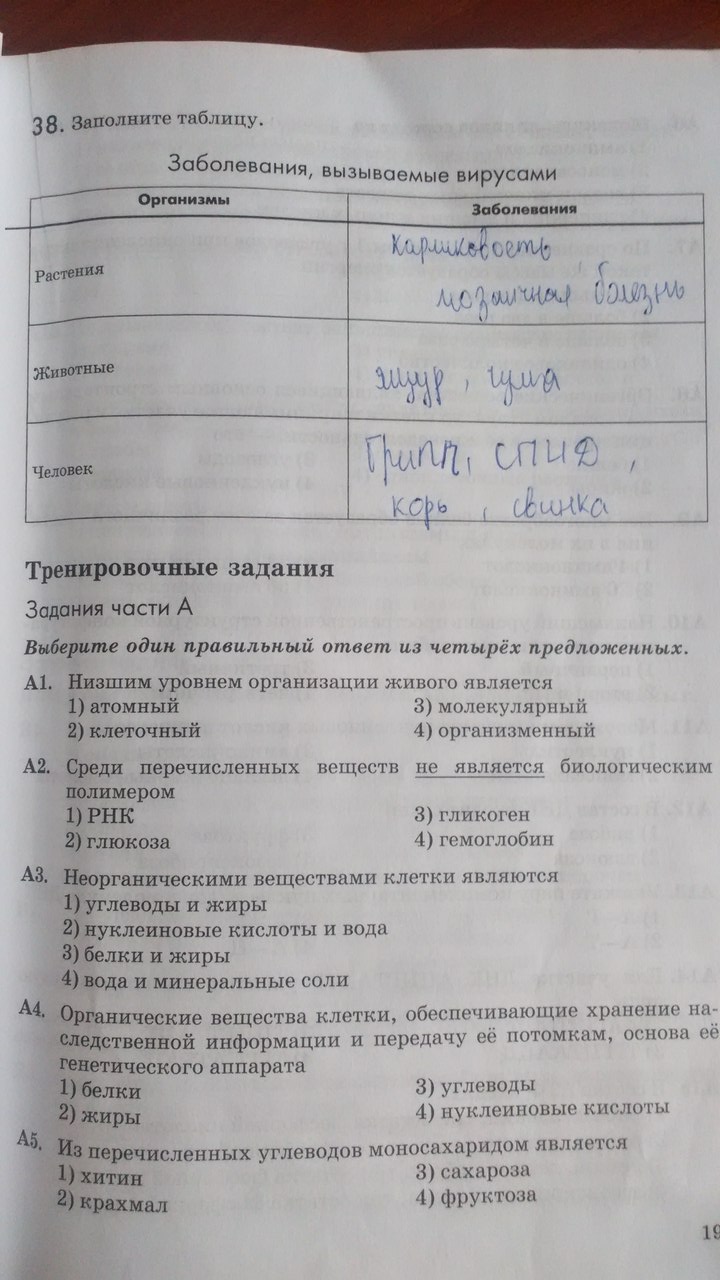 Рабочая тетрадь. Введение в общую биологию, 9 класс, Пасечник В.В., Швецов Г.Г., 2011, задание: Стр. 19