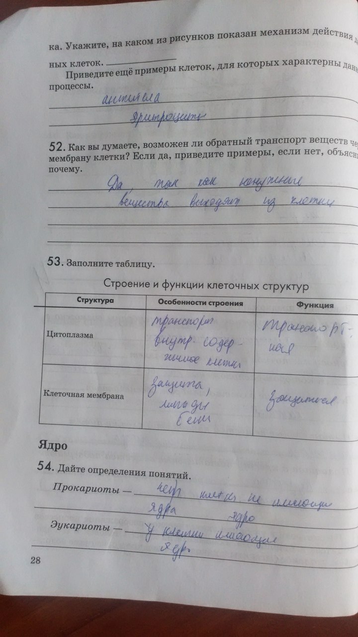 Рабочая тетрадь. Введение в общую биологию, 9 класс, Пасечник В.В., Швецов Г.Г., 2011, задание: Стр. 28