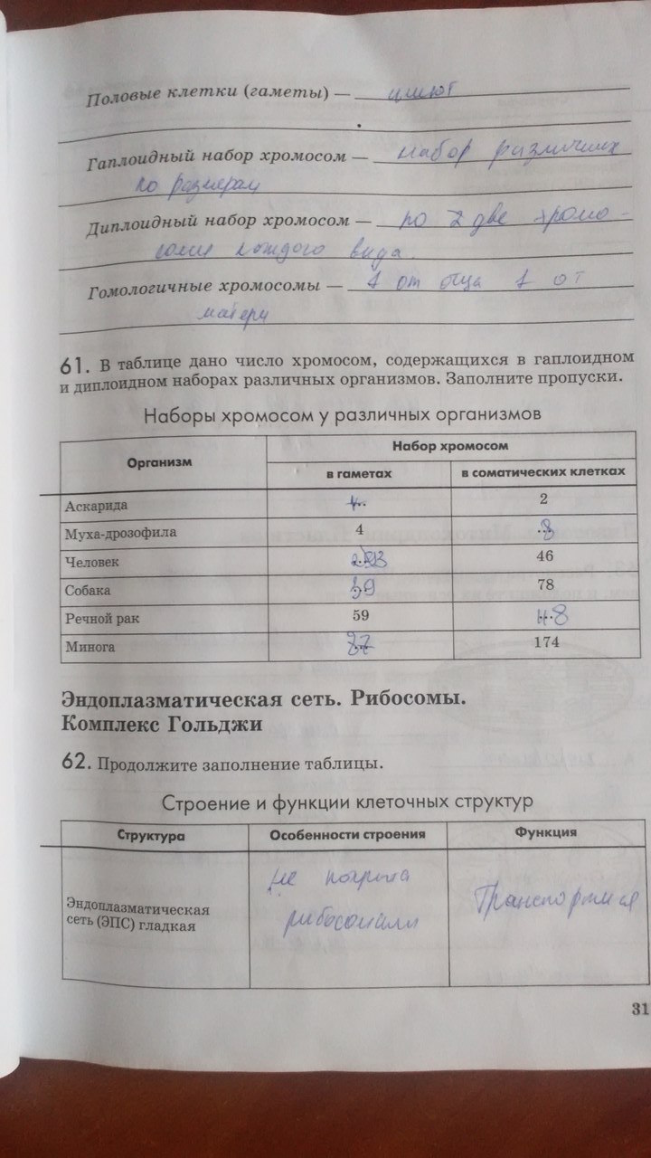 Рабочая тетрадь. Введение в общую биологию, 9 класс, Пасечник В.В., Швецов Г.Г., 2011, задание: Стр. 31