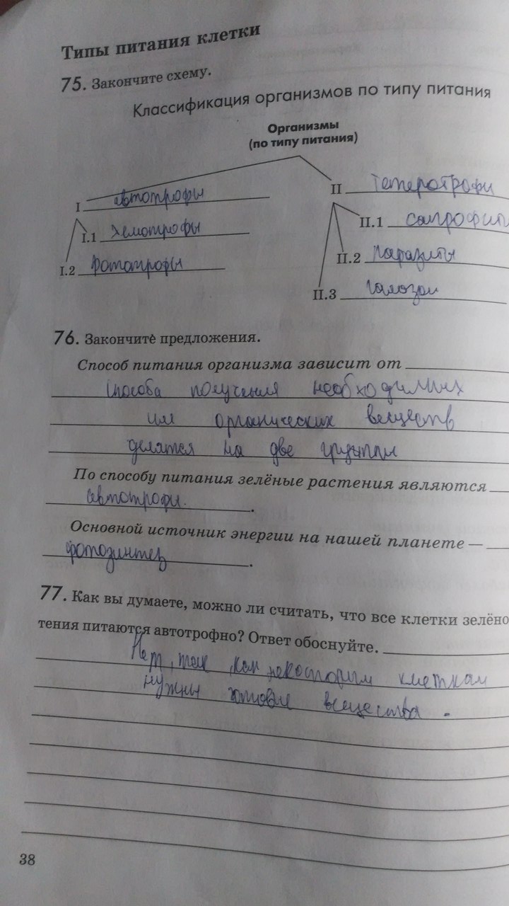 Рабочая тетрадь. Введение в общую биологию, 9 класс, Пасечник В.В., Швецов Г.Г., 2011, задание: Стр. 38