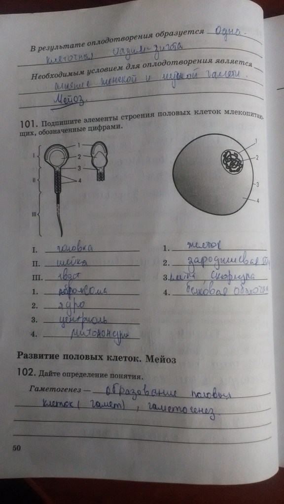 Рабочая тетрадь. Введение в общую биологию, 9 класс, Пасечник В.В., Швецов Г.Г., 2011, задание: Стр. 50