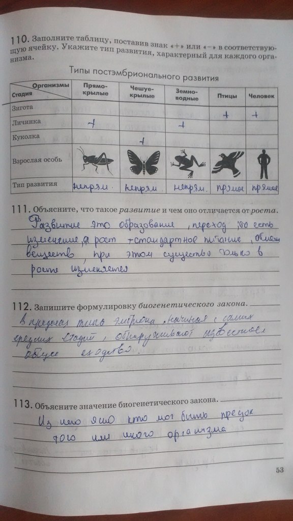 Рабочая тетрадь. Введение в общую биологию, 9 класс, Пасечник В.В., Швецов Г.Г., 2011, задание: Стр. 53