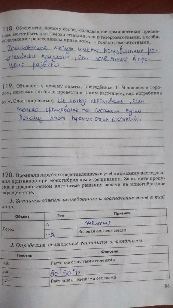 Рабочая тетрадь. Введение в общую биологию, 9 класс, Пасечник В.В., Швецов Г.Г., 2011, задание: Стр. 55