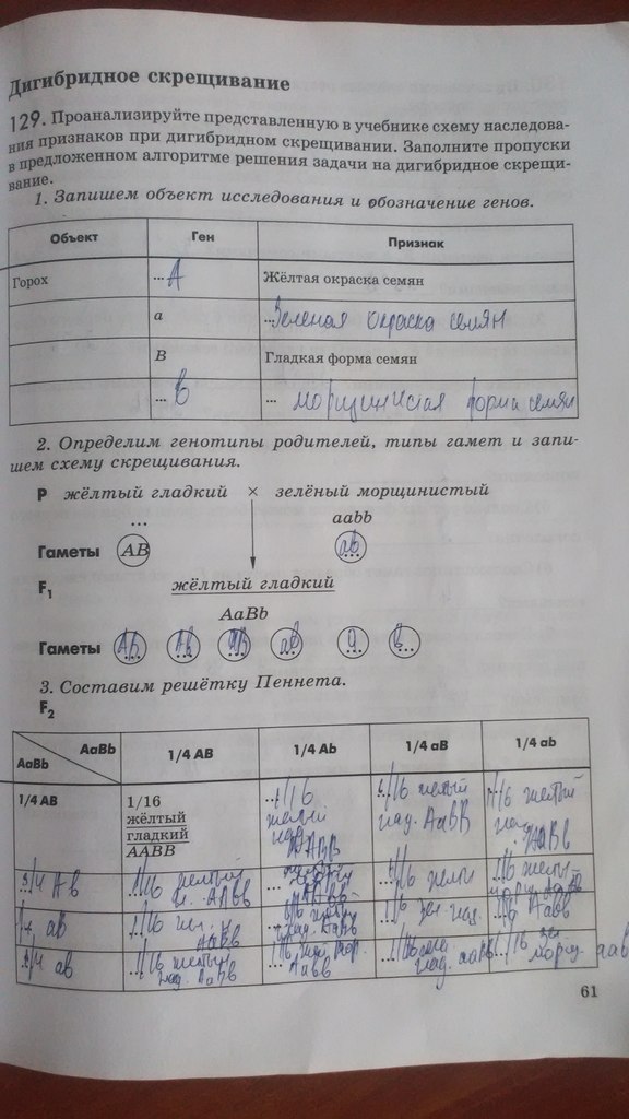 Рабочая тетрадь. Введение в общую биологию, 9 класс, Пасечник В.В., Швецов Г.Г., 2011, задание: Стр. 61