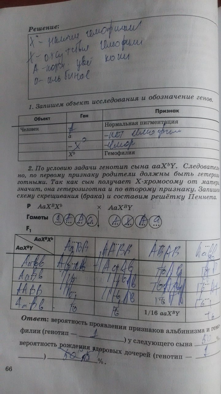 Рабочая тетрадь. Введение в общую биологию, 9 класс, Пасечник В.В., Швецов Г.Г., 2011, задание: Стр. 66