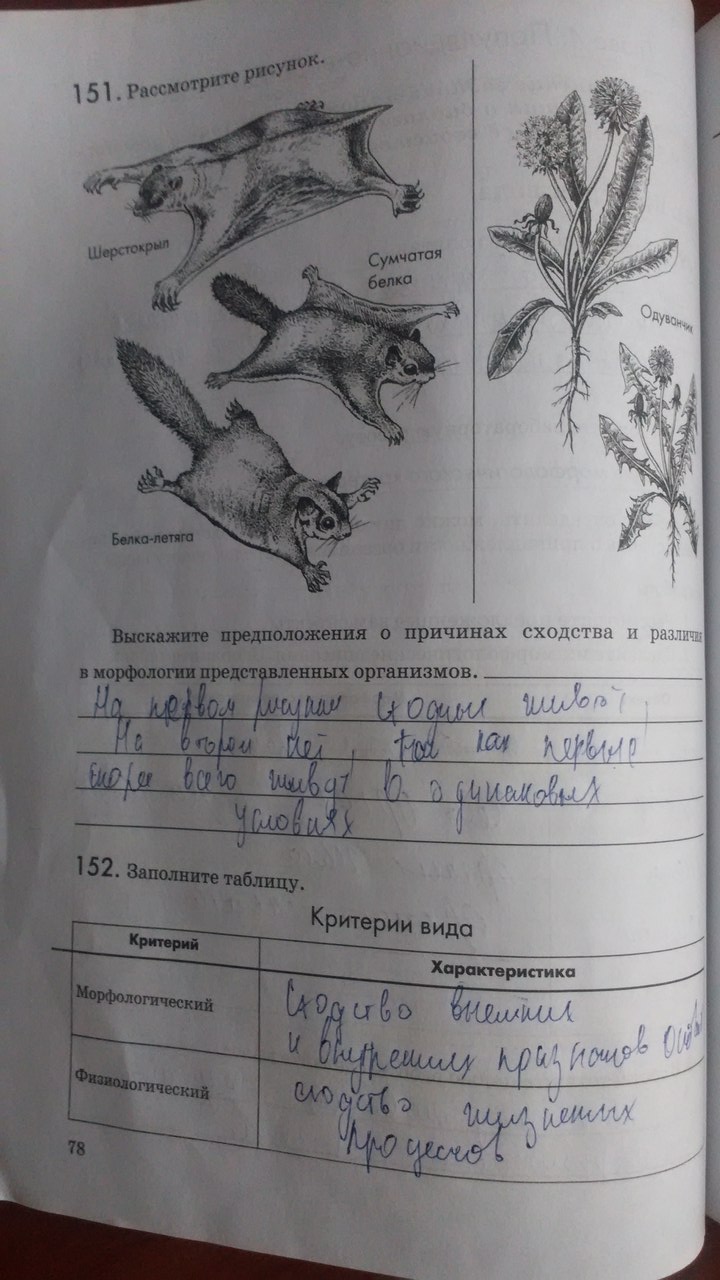 Рабочая тетрадь. Введение в общую биологию, 9 класс, Пасечник В.В., Швецов Г.Г., 2011, задание: Стр. 78