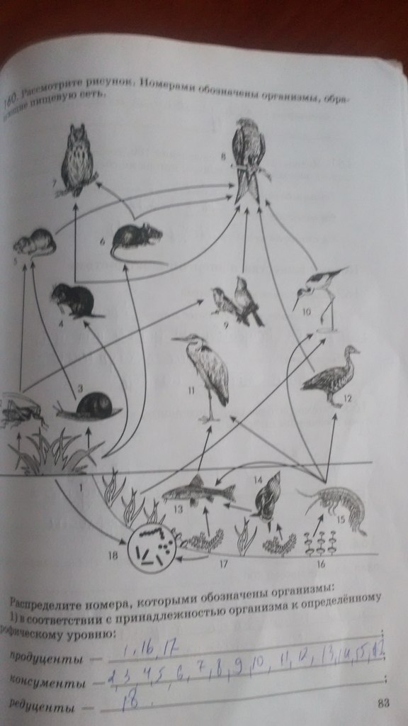 Рабочая тетрадь. Введение в общую биологию, 9 класс, Пасечник В.В., Швецов Г.Г., 2011, задание: Стр. 83