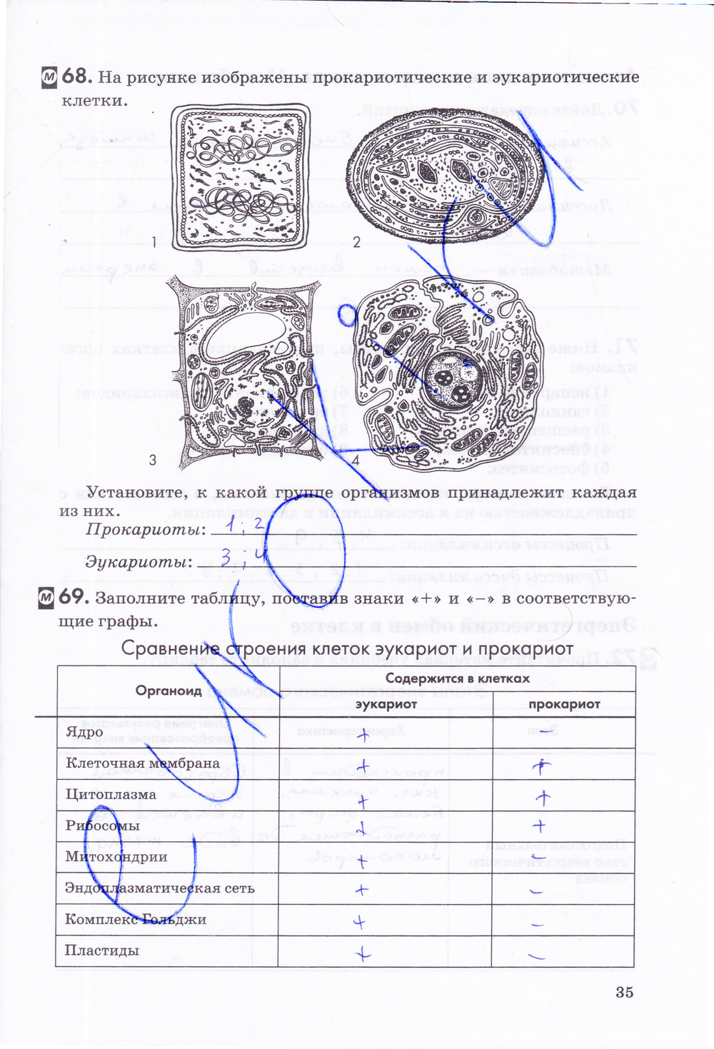 Рабочая тетрадь, 9 класс, Пасечник В.В., Швецов Г.Г., 2014, задание: стр. 35