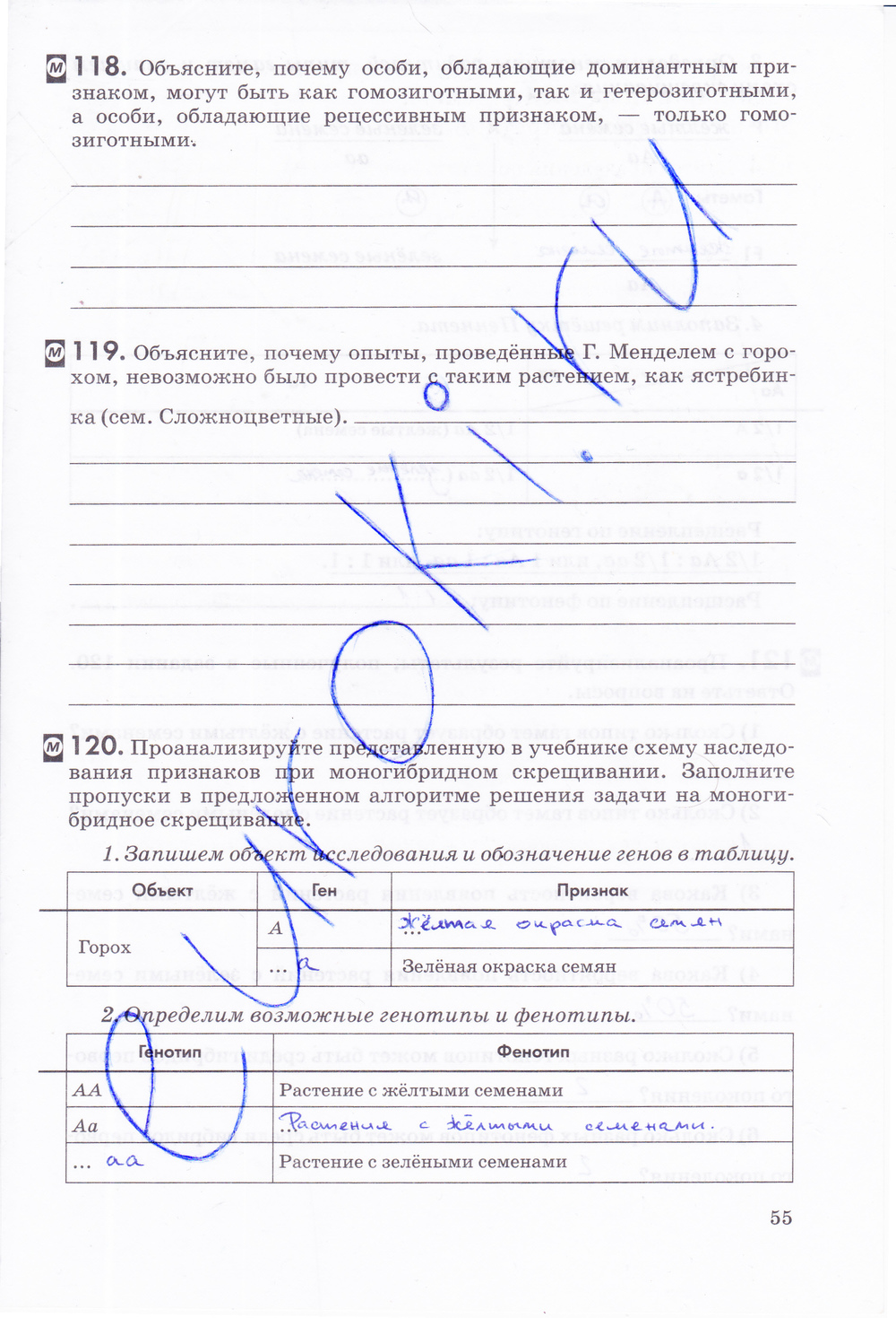 Рабочая тетрадь, 9 класс, Пасечник В.В., Швецов Г.Г., 2014, задание: стр. 55