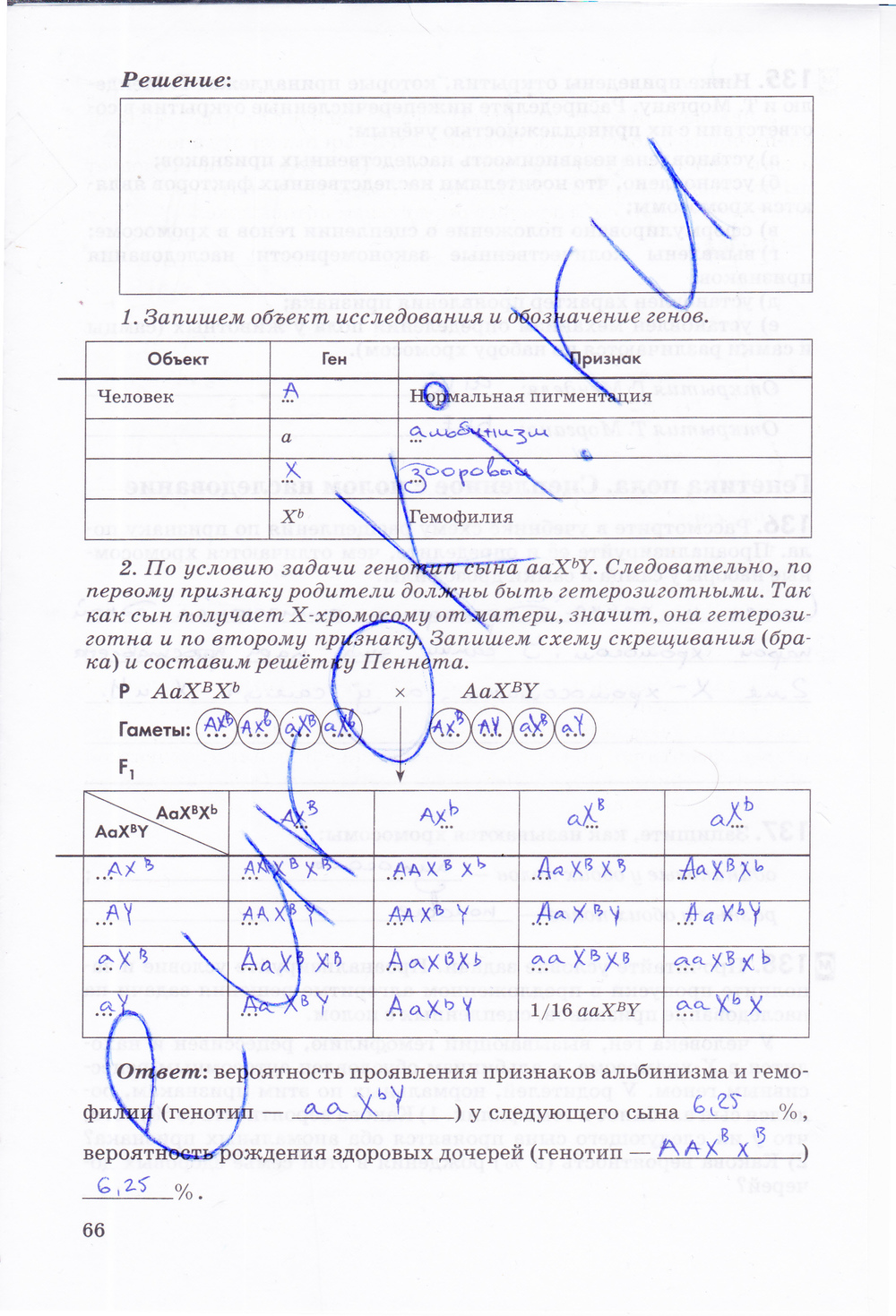 Рабочая тетрадь, 9 класс, Пасечник В.В., Швецов Г.Г., 2014, задание: стр. 66