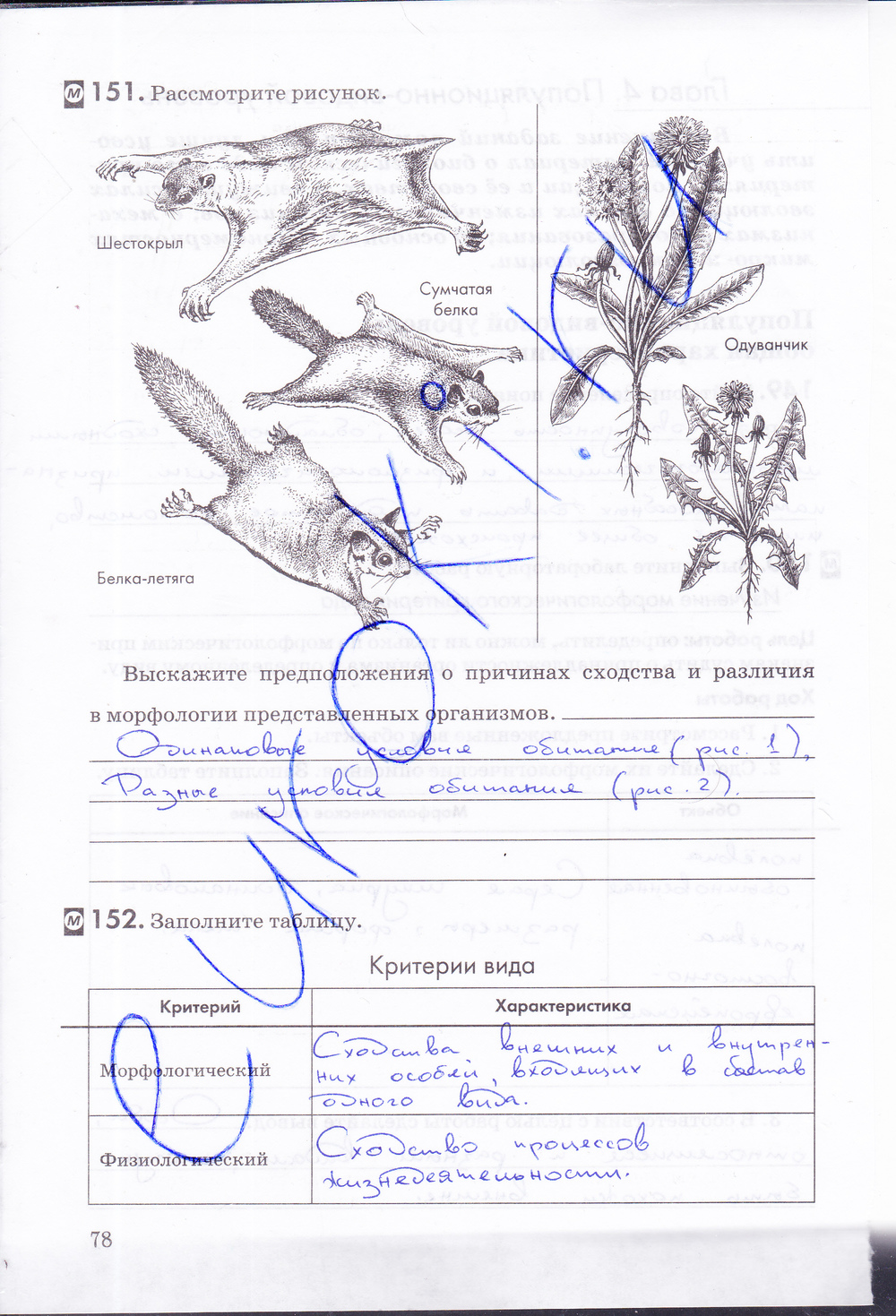 Рабочая тетрадь, 9 класс, Пасечник В.В., Швецов Г.Г., 2014, задание: стр. 78