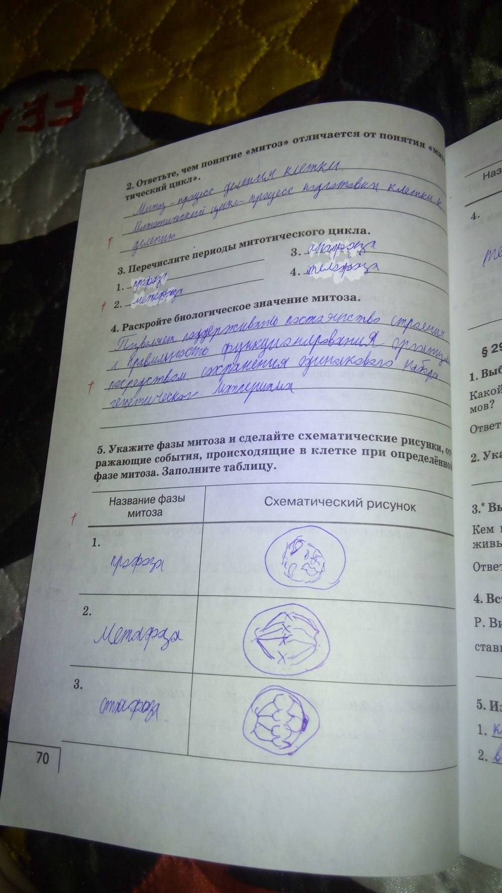 Рабочая тетрадь, 9 класс, Цибулевский А.Ю., 2016, задание: стр. 70