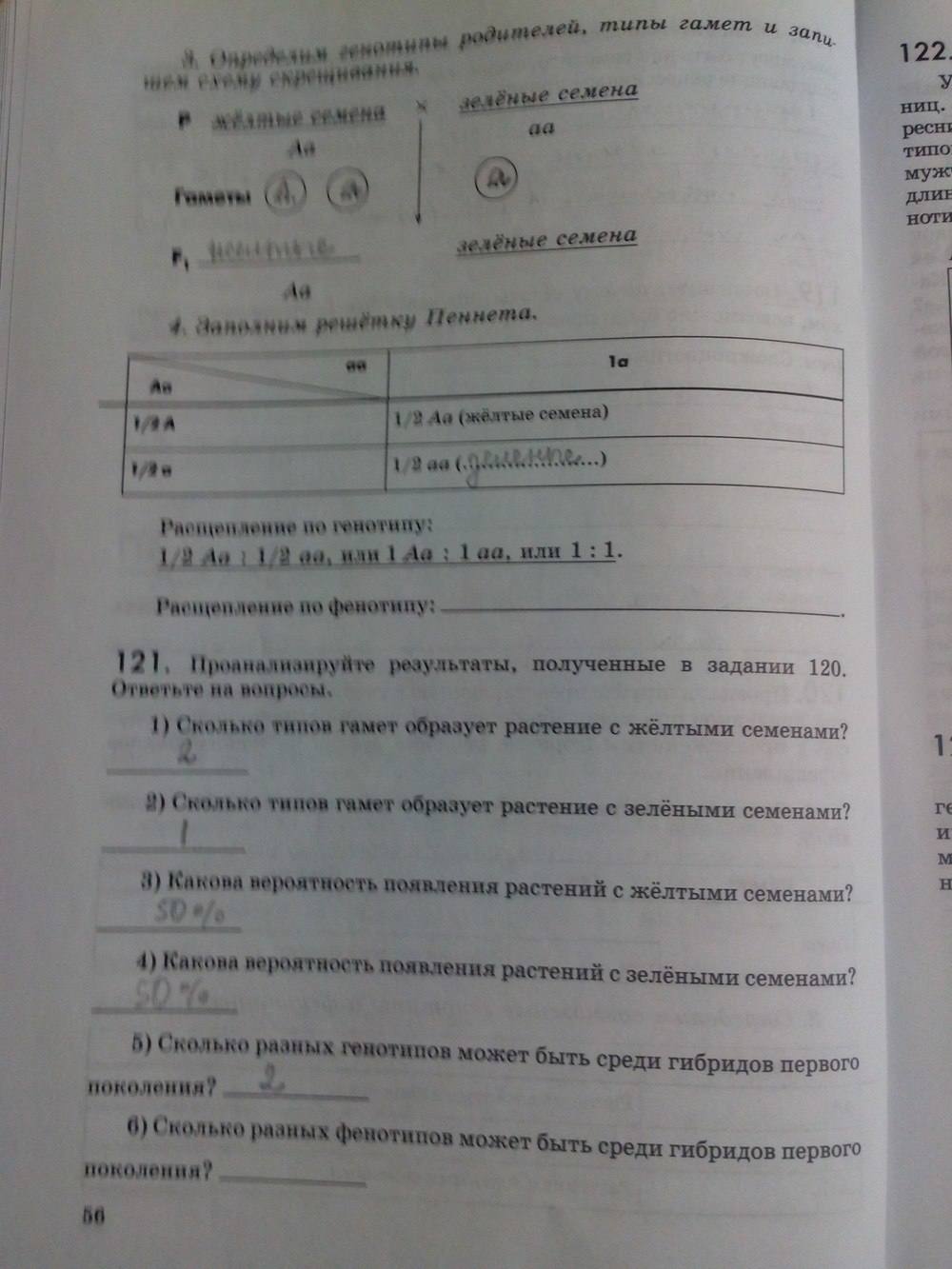 Рабочая тетрадь (другая версия решебника), 9 класс, Пасечник В.В., Швецов Г.Г., 2011, задание: стр. 56