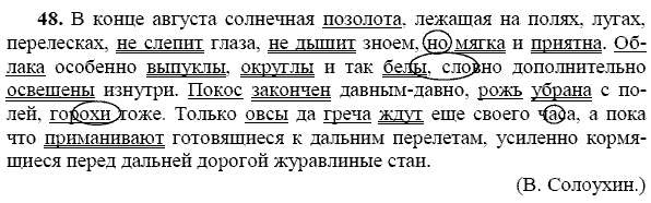Русский язык, 9 класс, Тростенцова Л.А. Ладыженская Т.А., 2013 - 2015, задание: 48