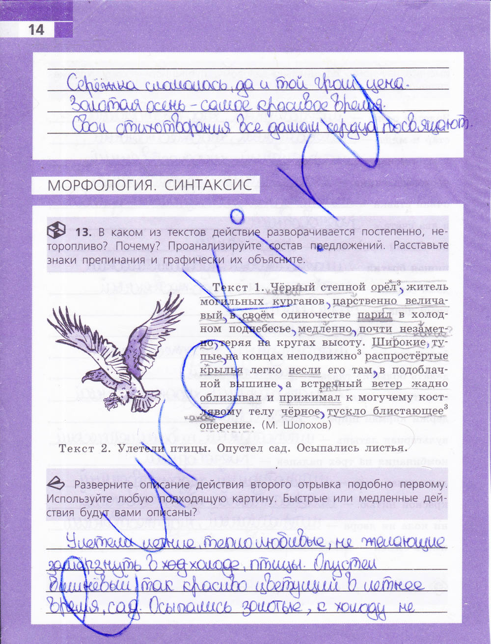 Рабочая тетрадь, 9 класс, Ефремова Е. А., 2015, задание: стр. 14