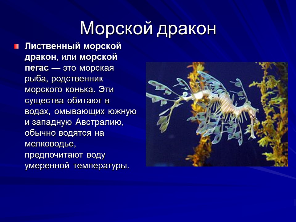 Живущие на дне океана