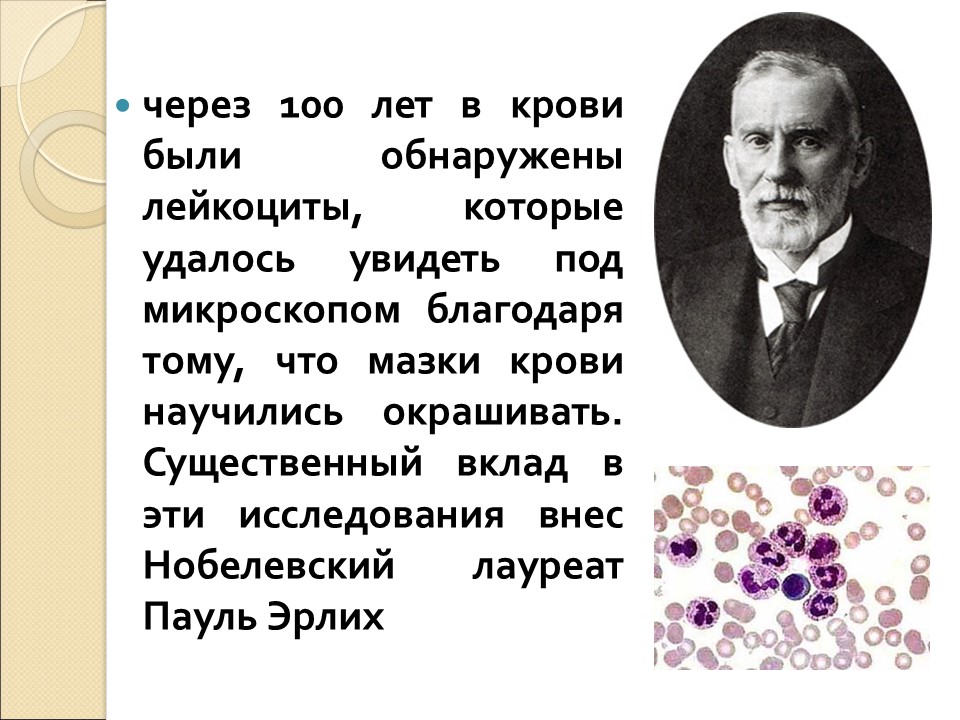 Кровь ее состав и функции