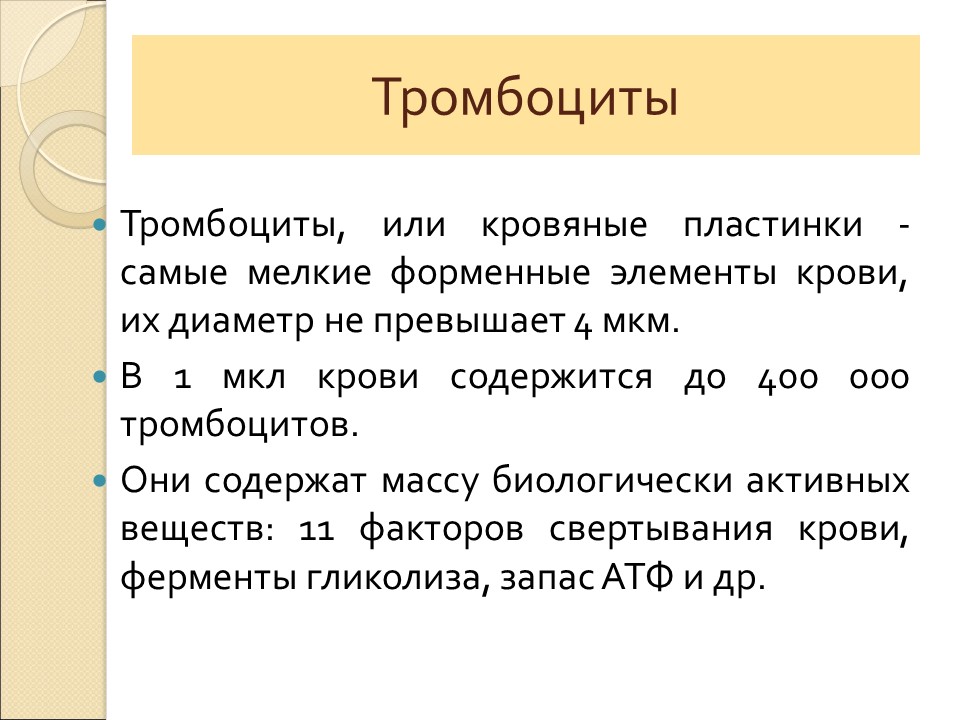 Кровь ее состав и функции