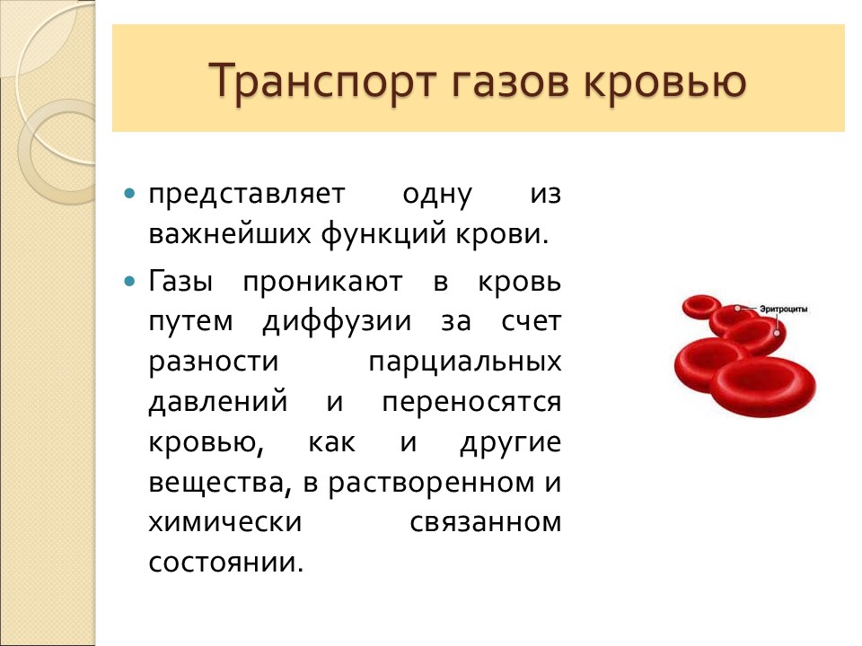 Кровь ее состав и функции