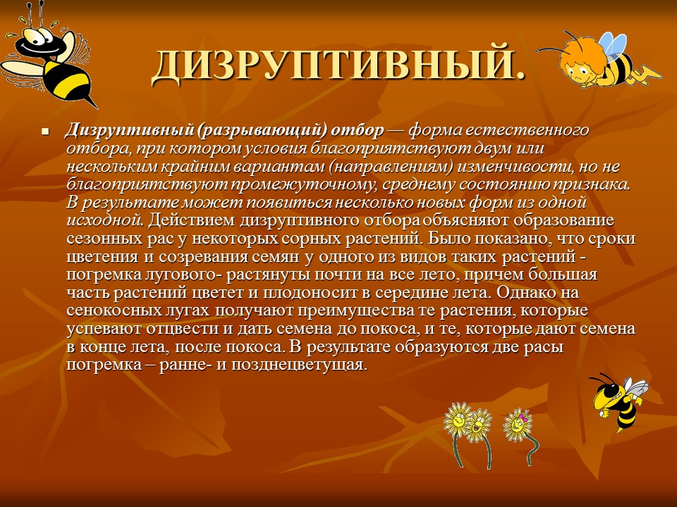 Разрывающая форма отбора. Дизруптивный (разрывающий) отбор. Естественный отбор дизруптивный отбор. Естественного отбора дезурептивный. Дизруптивная форма естественного отбора.