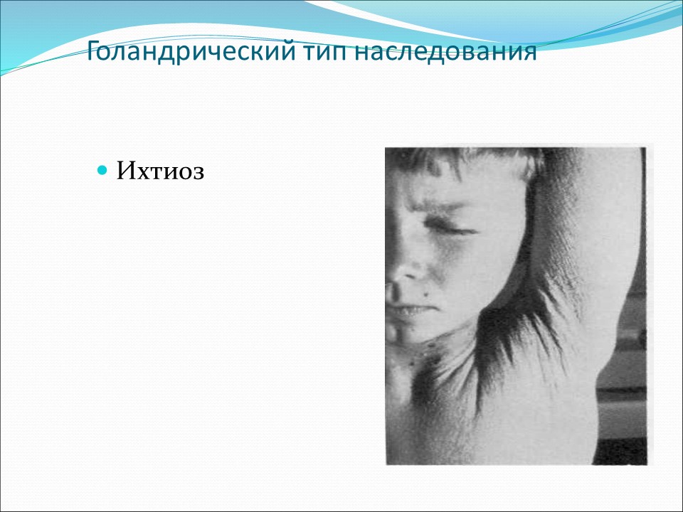 Генетика пола