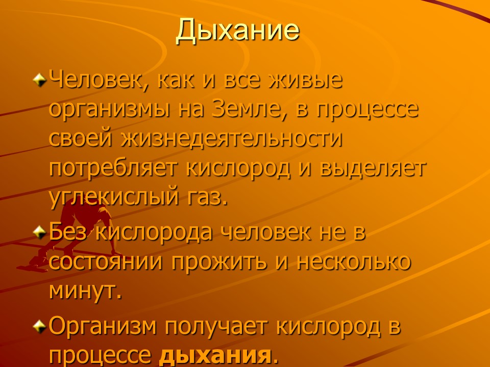 Органы дыхания 2