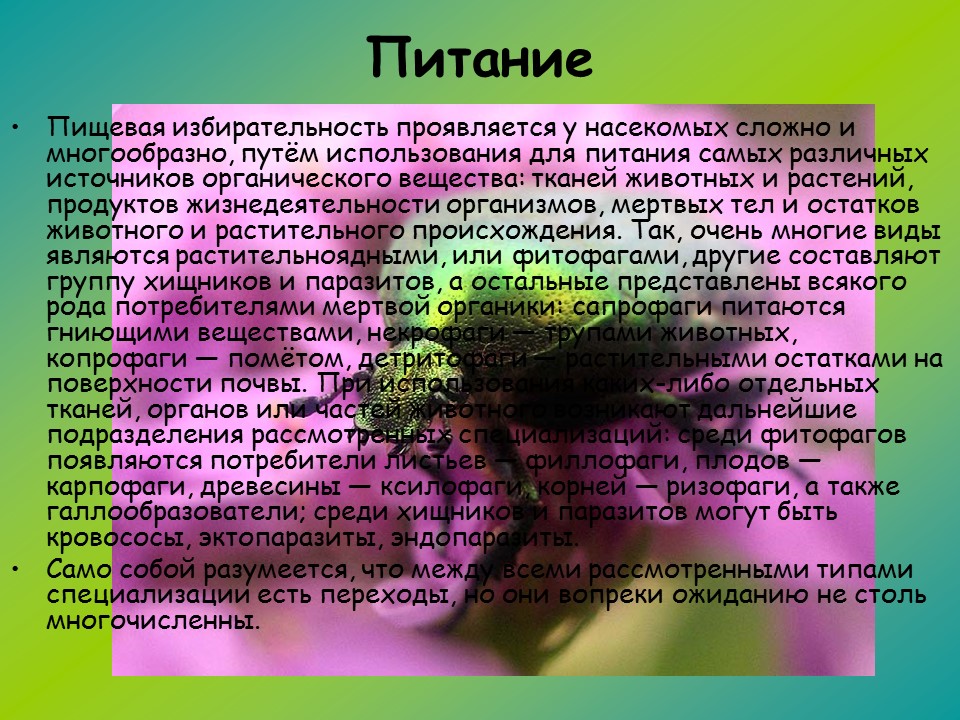 Пищевая избирательность. Дети за столом. Пищевая избирательность. Пищевая избирательность у детей. Ребенок ест творог.