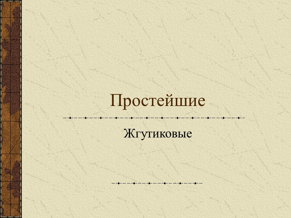 Простейшие жгутиковые
