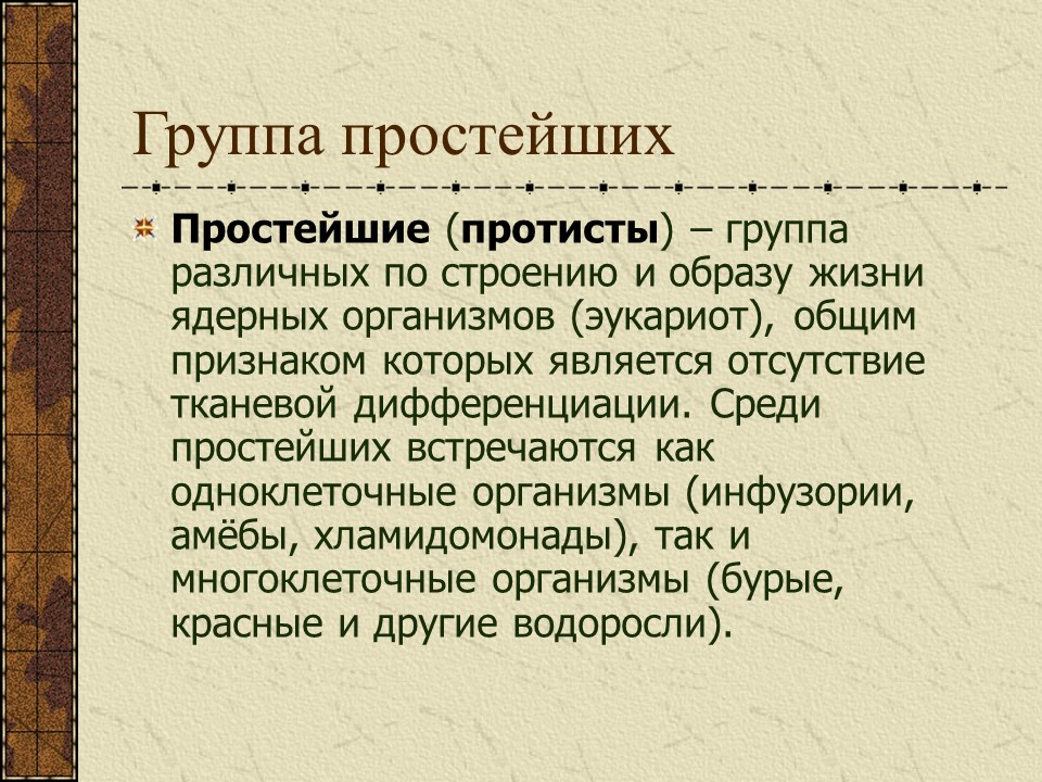 Простейшие жгутиковые