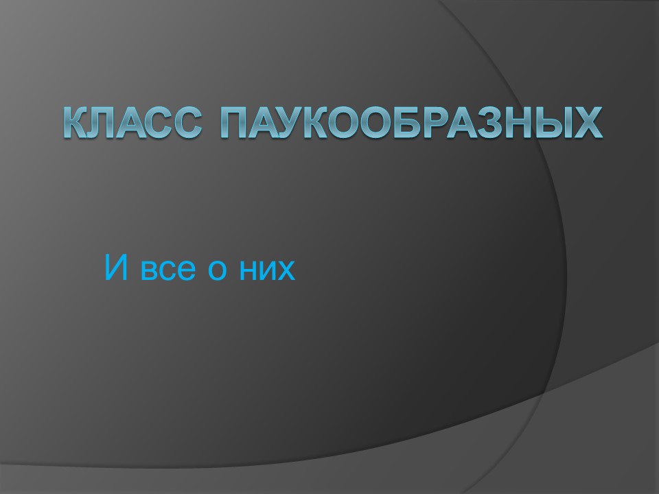 Класс паукообразные