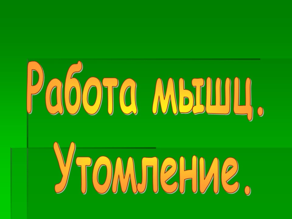 Мышцы как активная часть опорно-двигательной системы